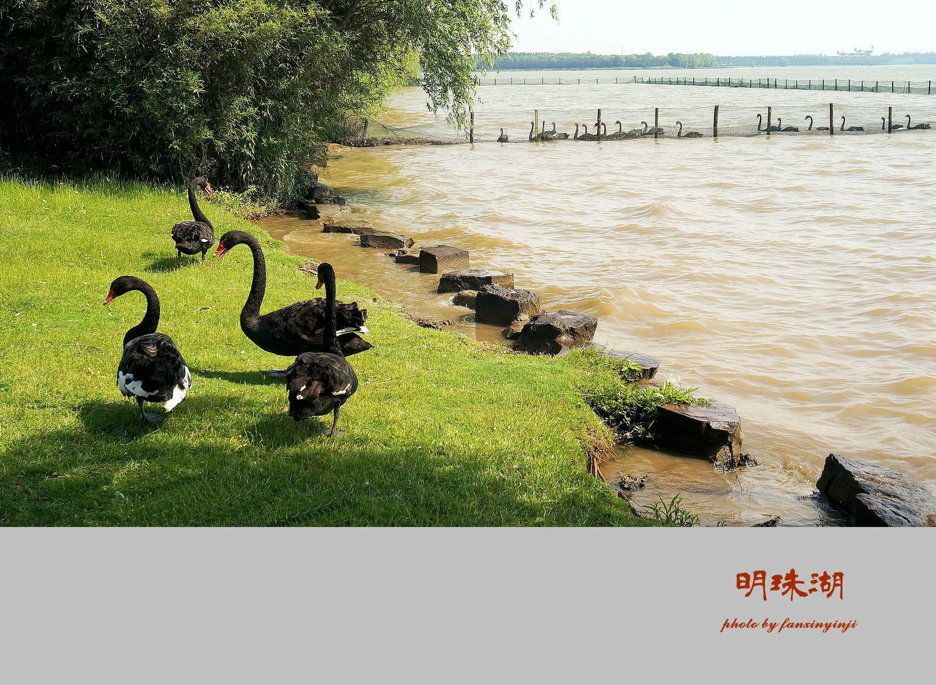 Xisha–Tasik Mingzhu (Tasik Mingzhu) — imej rujukan