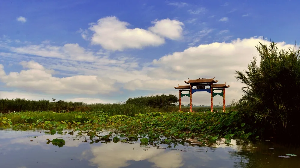 Hongze Lake Wetlands — reference image