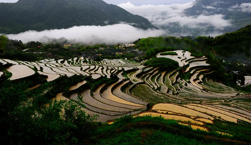 Rizières en terrasses de Yunhe — image de référence