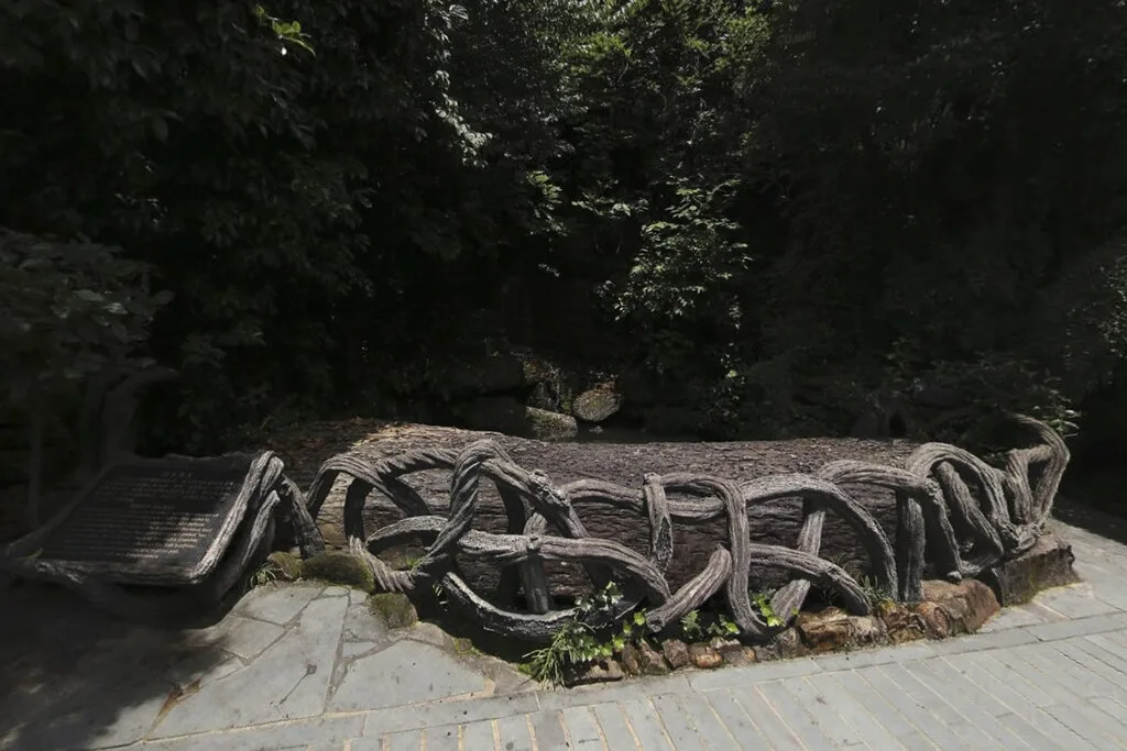 Parco buddhista del Palazzo delle Radici — immagine di riferimento