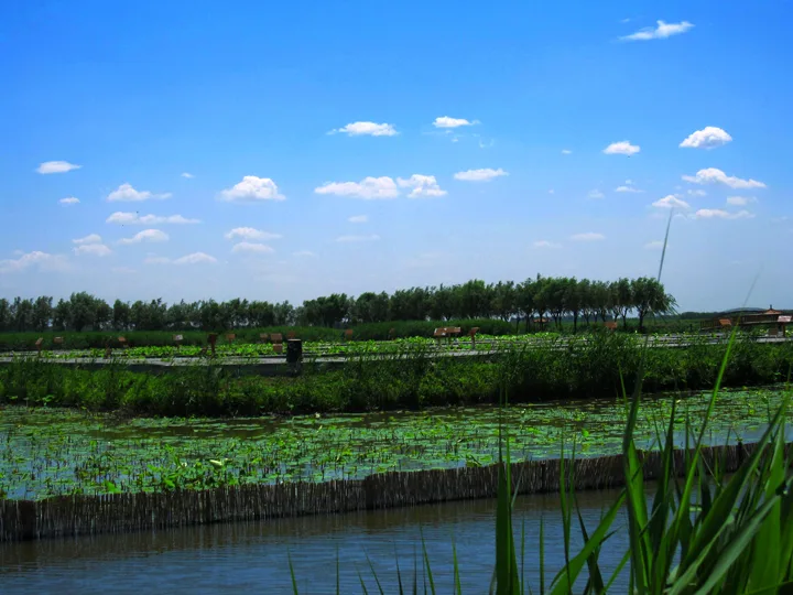 Baiyangdian — image de référence