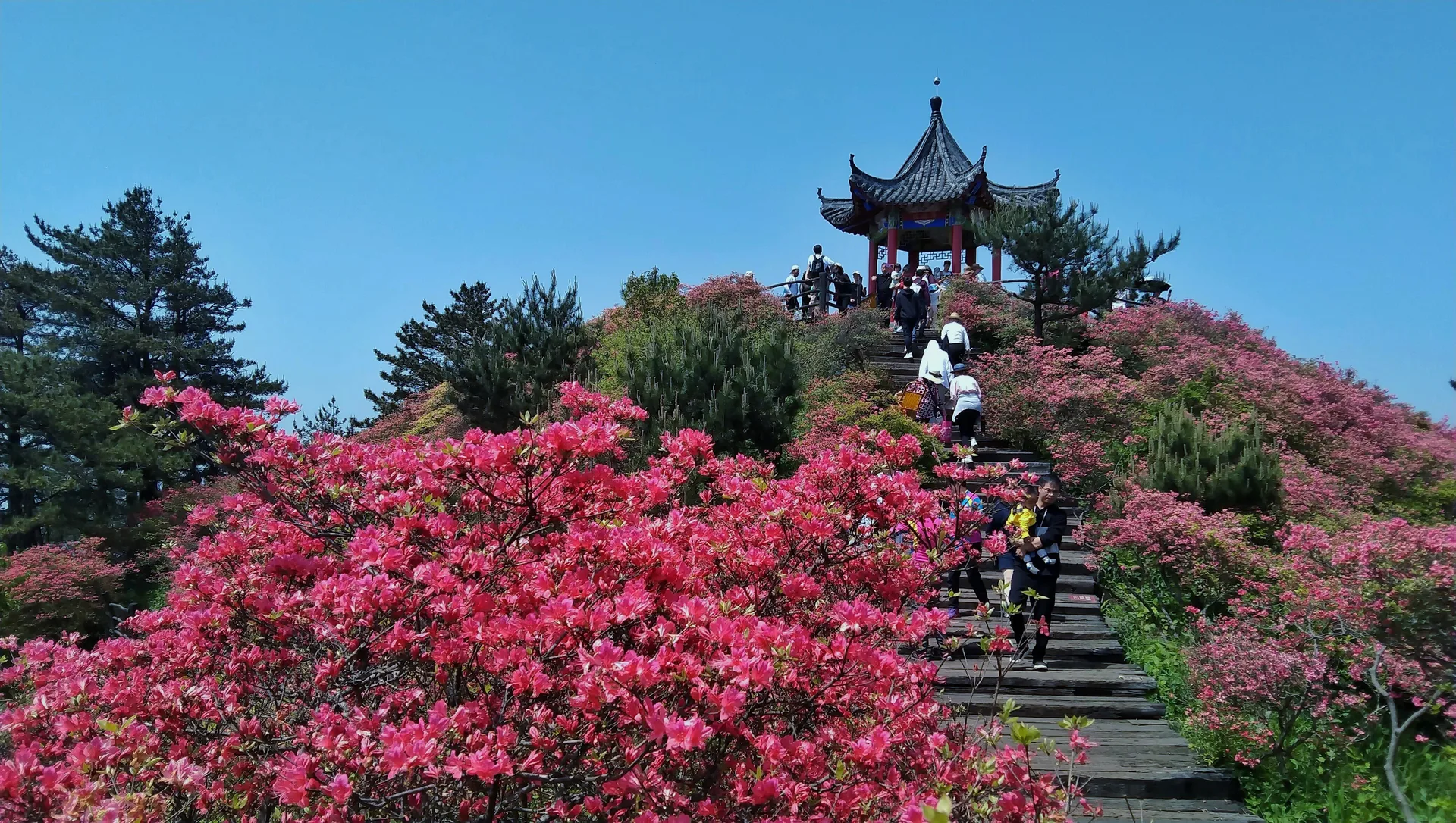 Guifeng Mountain, Macheng — reference image