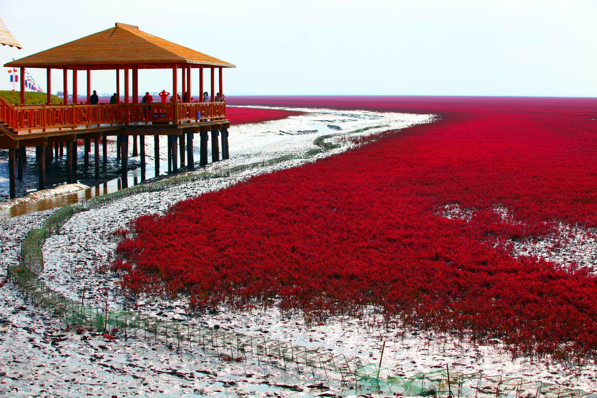 Plage rouge — image de référence