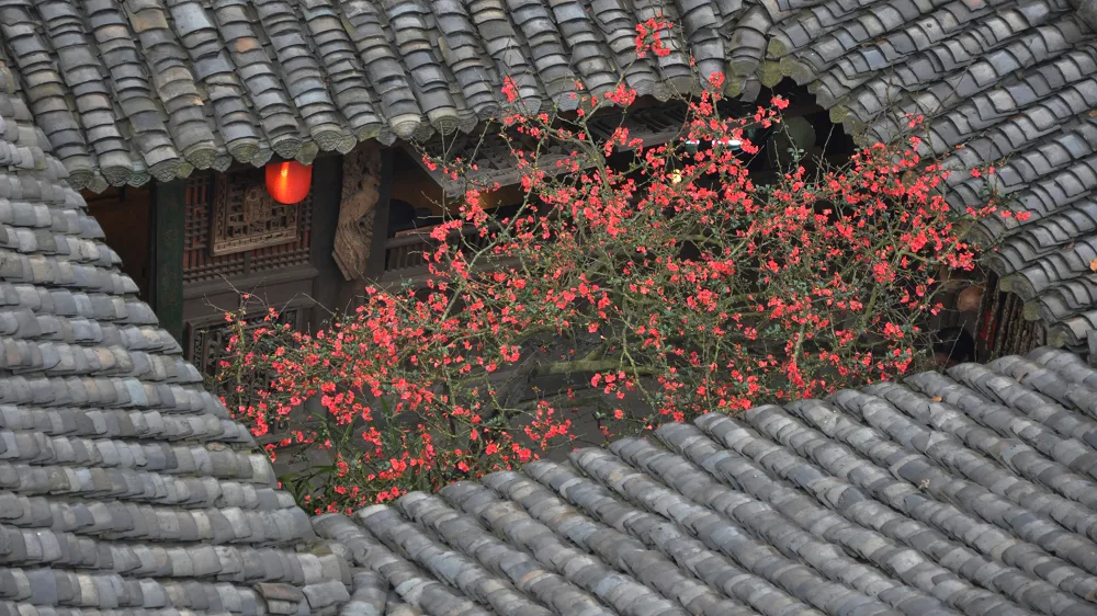 閬中古城 — 参考画像