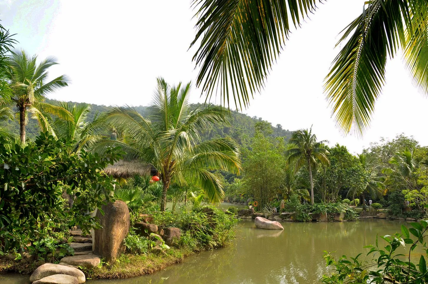Selva tropical de Yanoda — imagen de referencia
