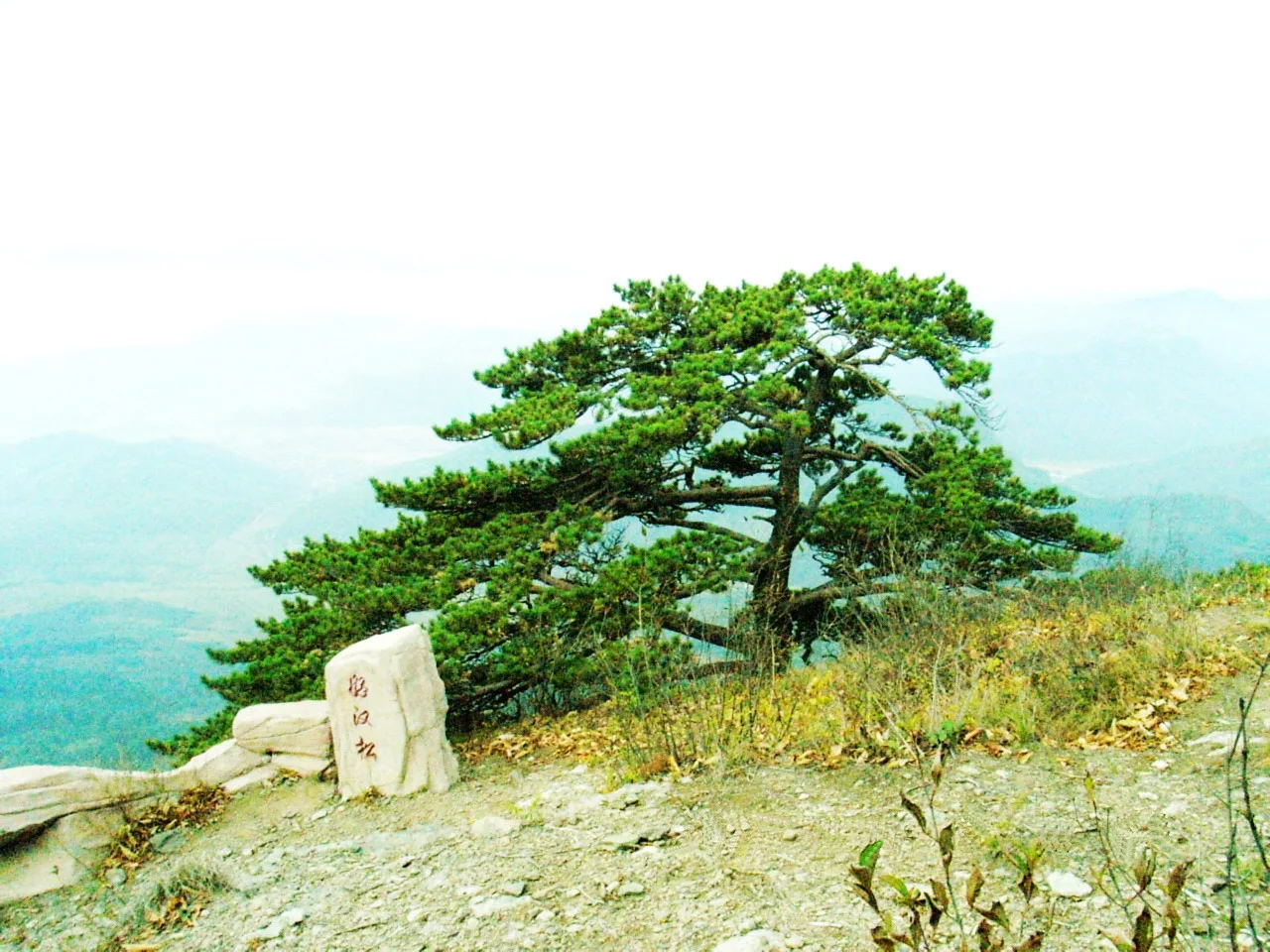 Gunung Wunü — imej rujukan