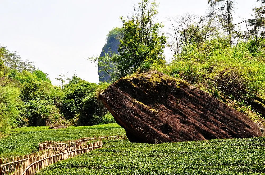Mount Wuyi — reference image
