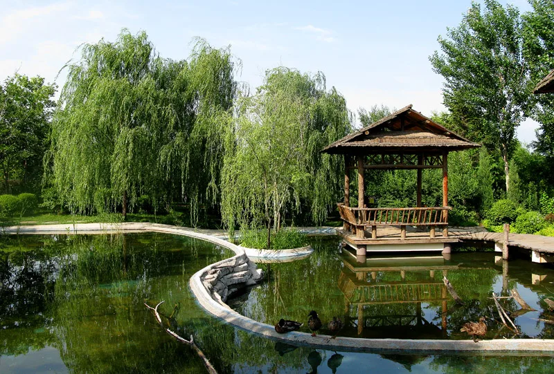 Jardín Botánico de Shenyang — imagen de referencia