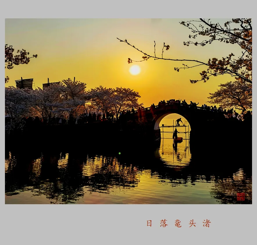 Viên Đầu Chử — ảnh tham khảo