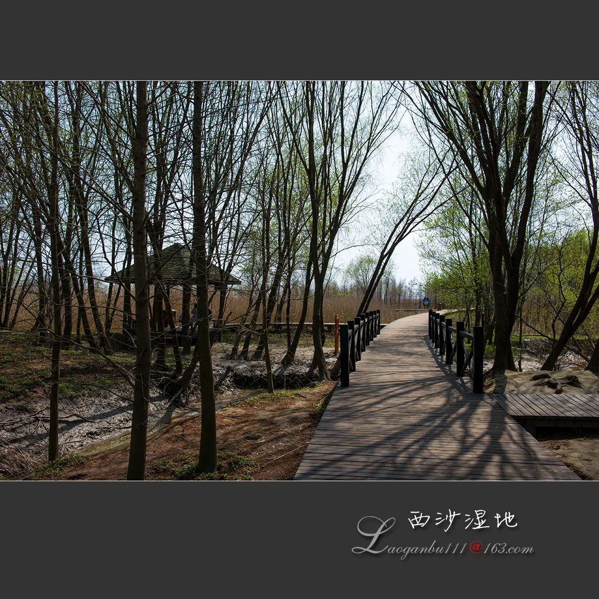 Xisha–Tasik Mingzhu (Tanah Lembap Xisha) — imej rujukan