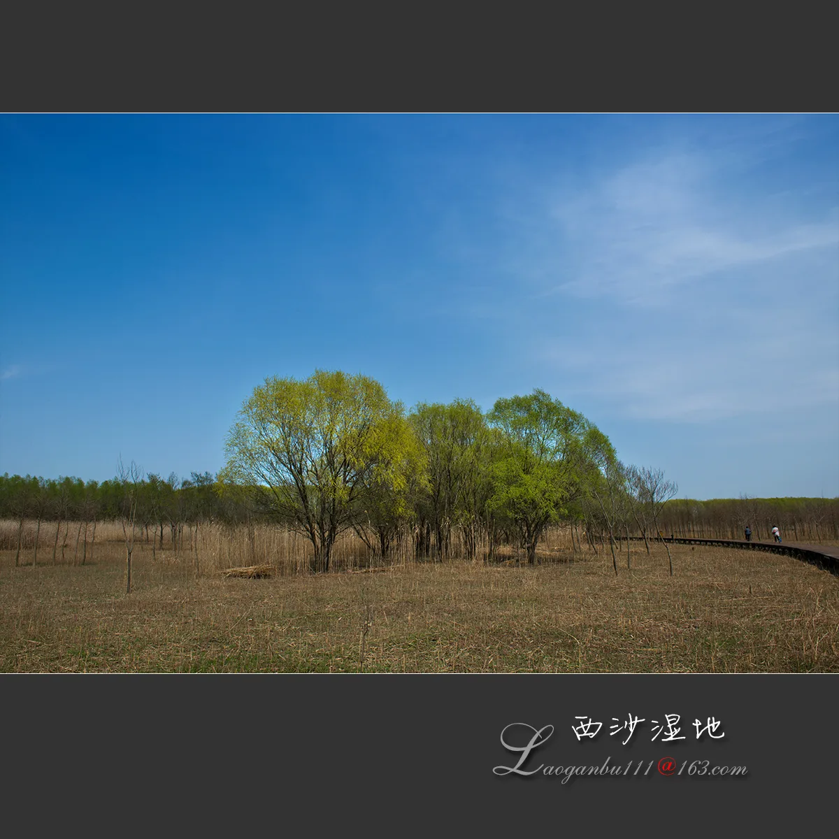 Xisha–Tasik Mingzhu (Tanah Lembap Xisha) — imej rujukan