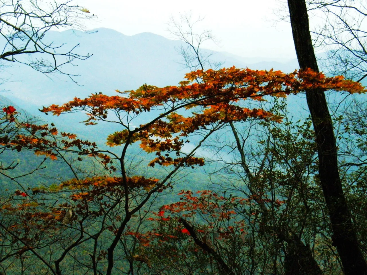 Gunung Wunü — imej rujukan