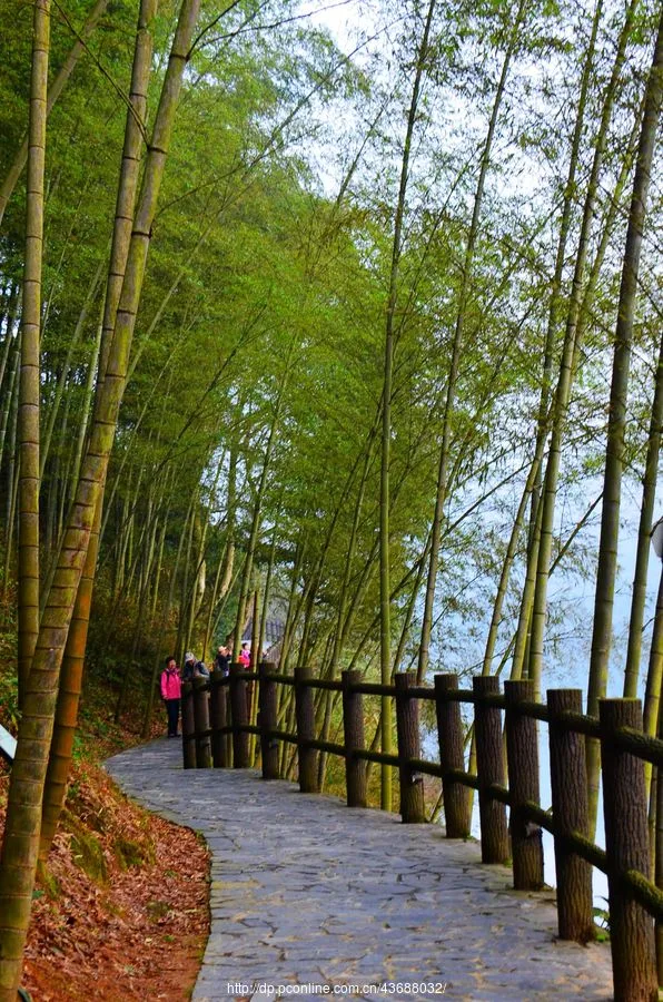 Lago Dongjiang — imagen de referencia