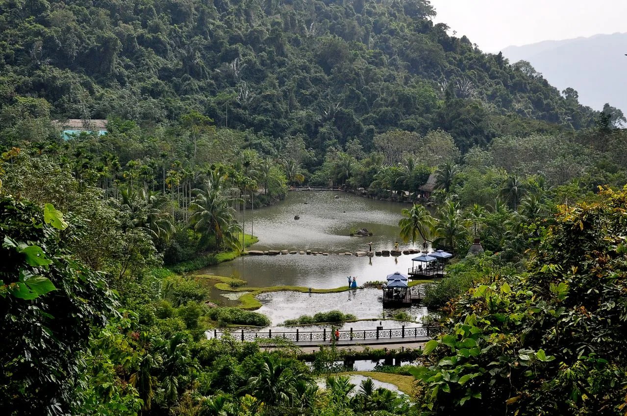 Selva tropical de Yanoda — imagen de referencia