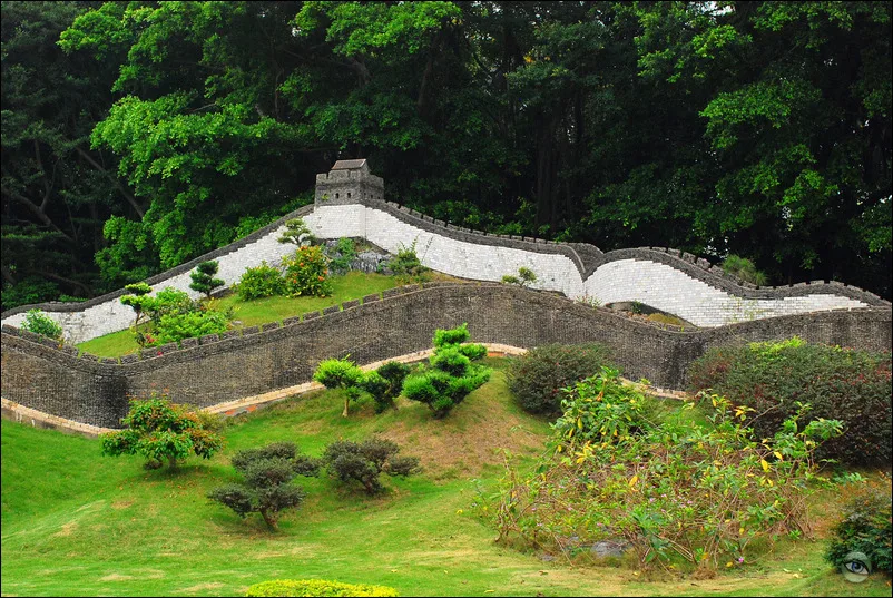 Cẩm Tú Trung Hoa — ảnh tham khảo
