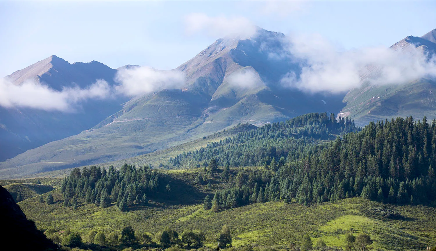 Amidongsuo Niuxin Mountain — reference image