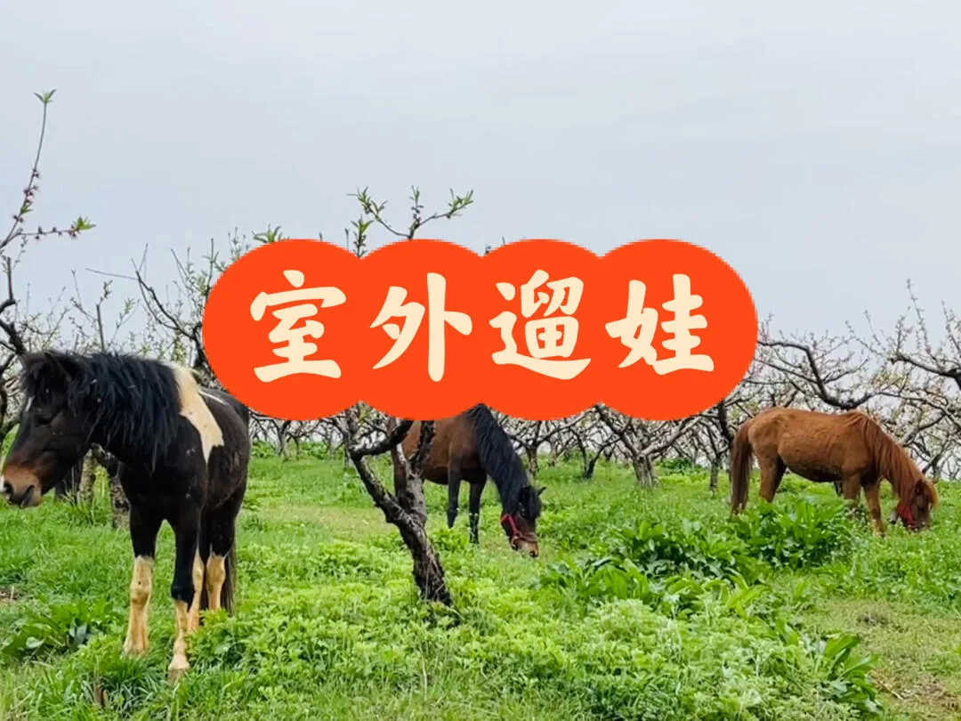 杏福园旅游区参考图片