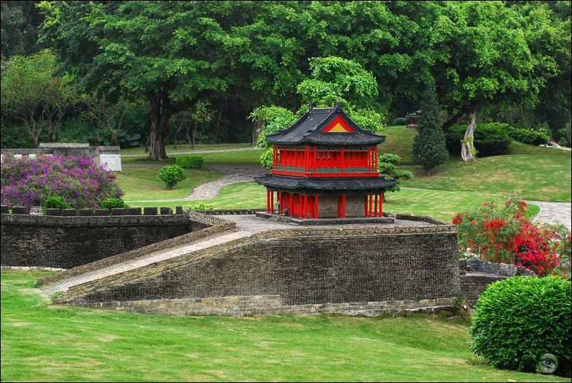 Cẩm Tú Trung Hoa — ảnh tham khảo
