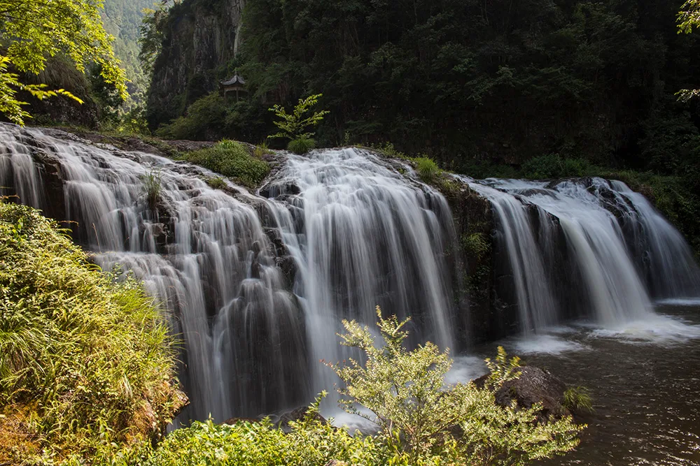 Baizhangji — immagine di riferimento
