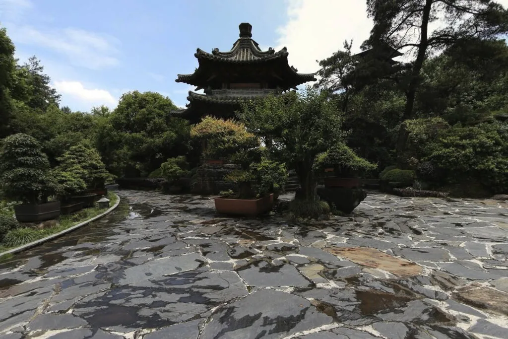 Parco buddhista del Palazzo delle Radici — immagine di riferimento