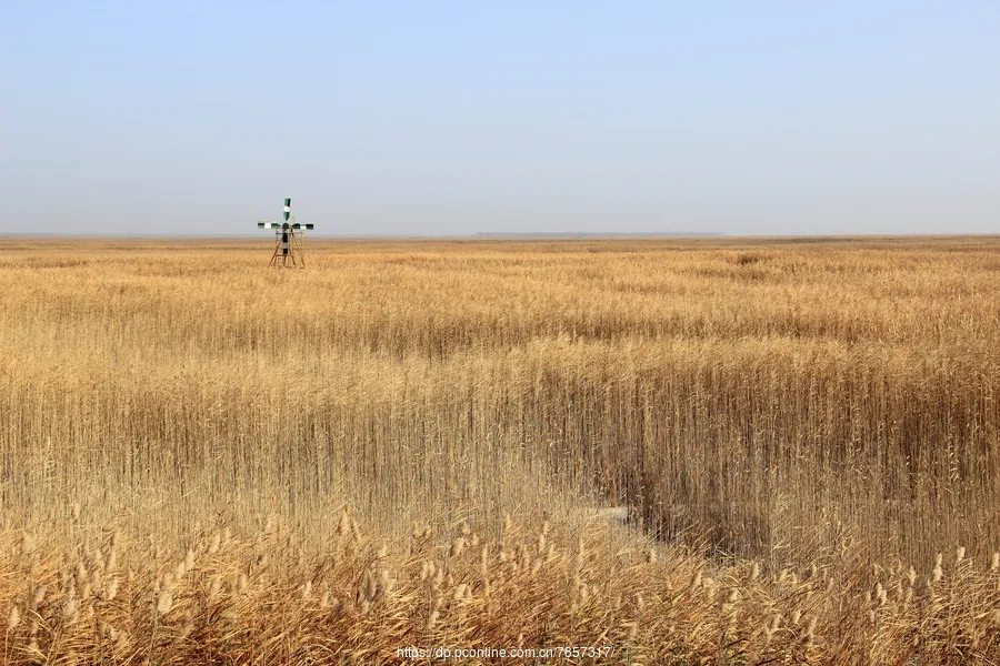 Bosten Lake — reference image