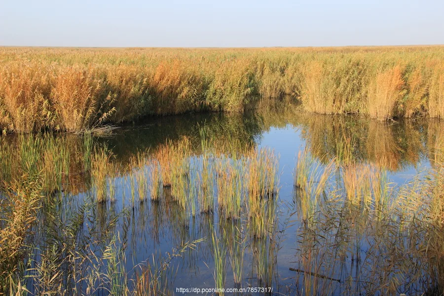 Bosten Lake — reference image