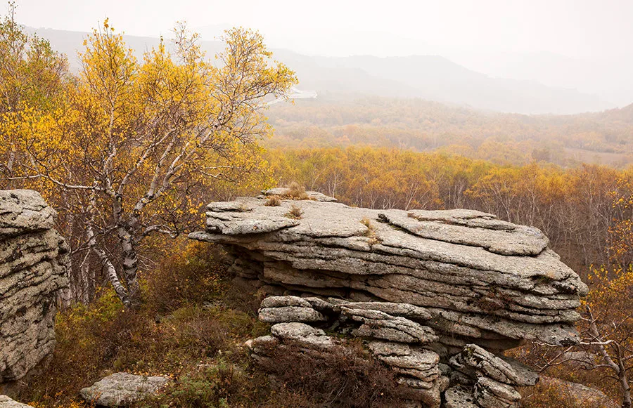 Foresta di Pietra di Asihatu — immagine di riferimento