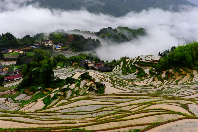 Rizières en terrasses de Yunhe — image de référence