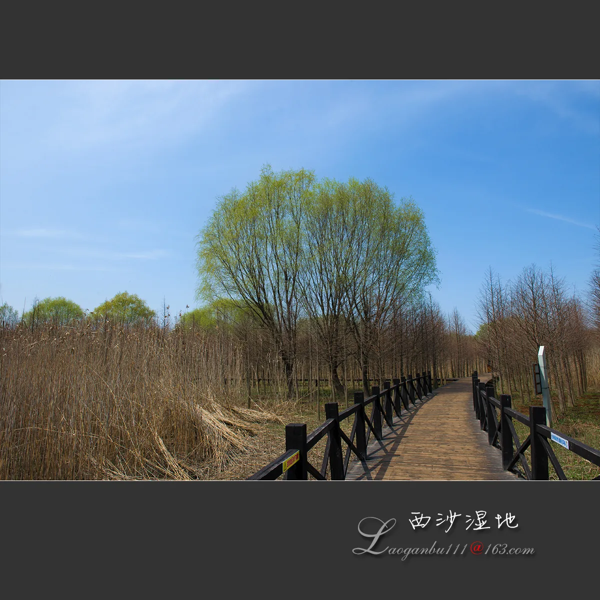Xisha–Tasik Mingzhu (Tanah Lembap Xisha) — imej rujukan