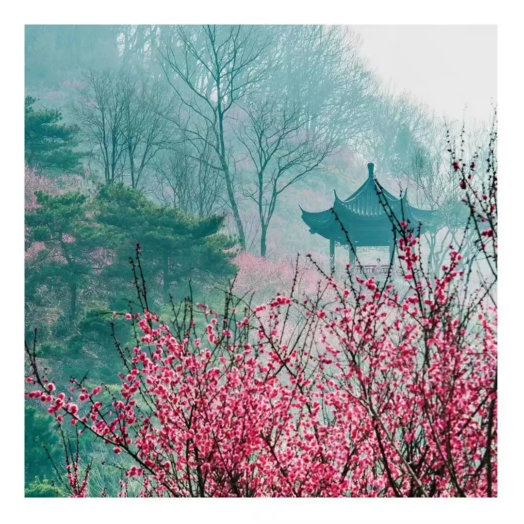 花果山の春景色『勝境に花咲き春を迎える』 — 参考画像