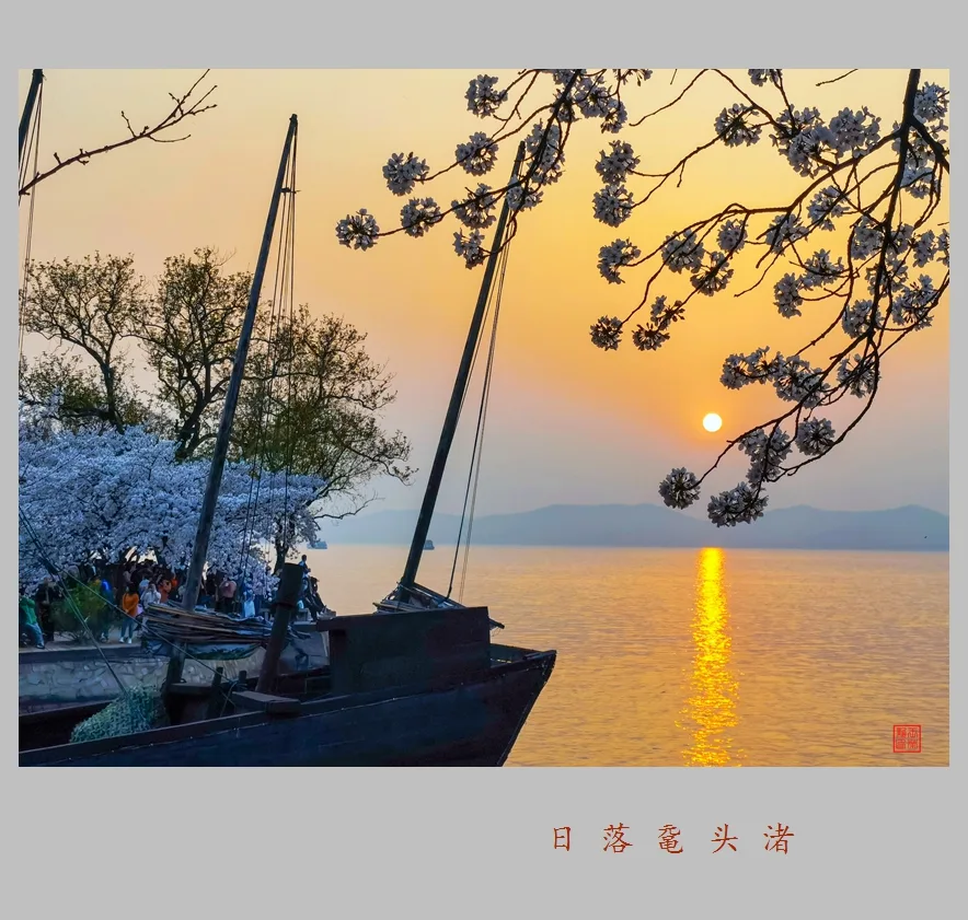 Viên Đầu Chử — ảnh tham khảo