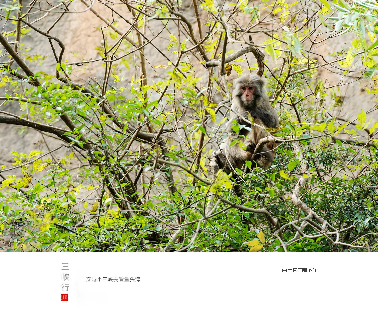 Wushan Three Lesser Gorges — reference image