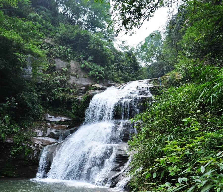 Gaung Bifeng — imej rujukan