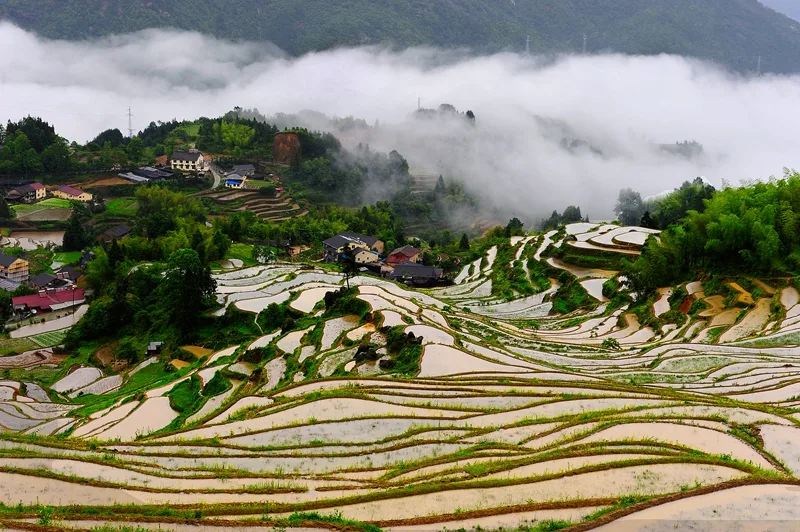Rizières en terrasses de Yunhe — image de référence