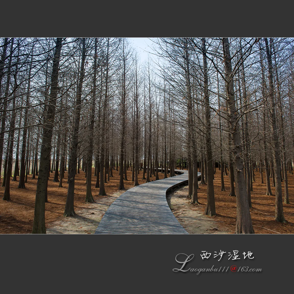 Xisha–Tasik Mingzhu (Tanah Lembap Xisha) — imej rujukan