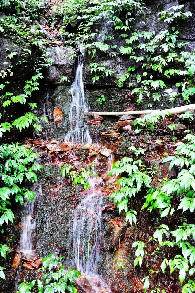 Gaung Bifeng — imej rujukan