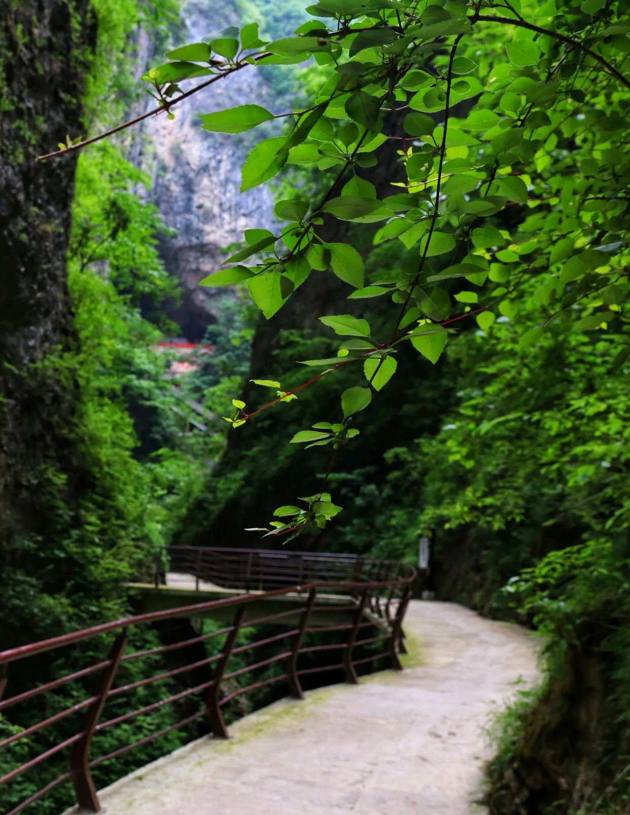 خانق جينسي — صورة مرجعية