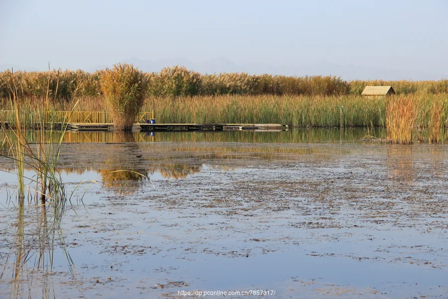 Bosten Lake — reference image