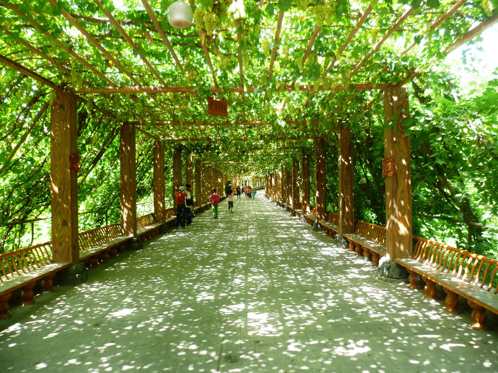 Valle dell’Uva — immagine di riferimento