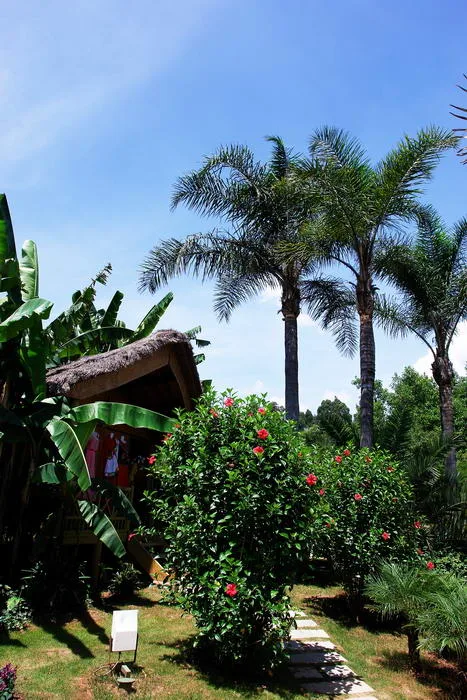 Giardino dell’Esposizione Mondiale di Orticoltura di Kunming — immagine di riferimento