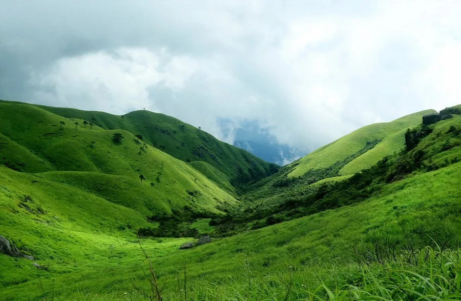 Mount Wugong — reference image