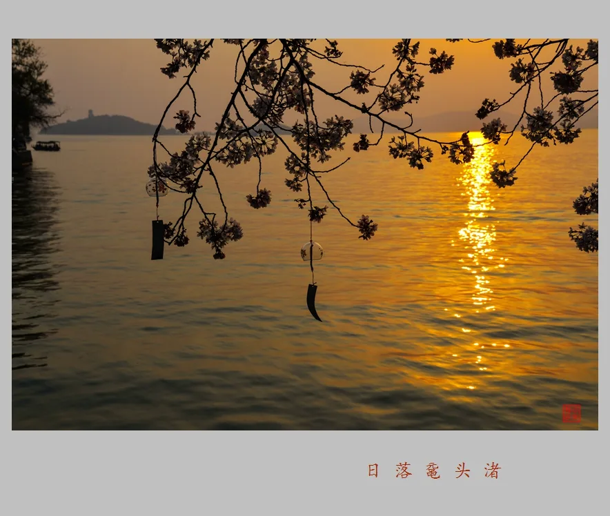 Viên Đầu Chử — ảnh tham khảo