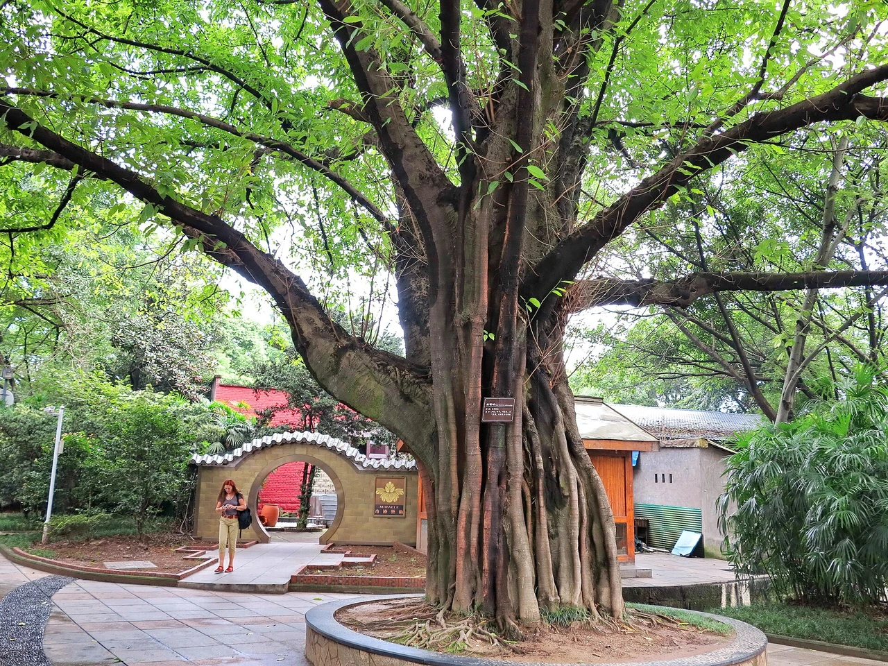Eling Park · 鹅岭公园
