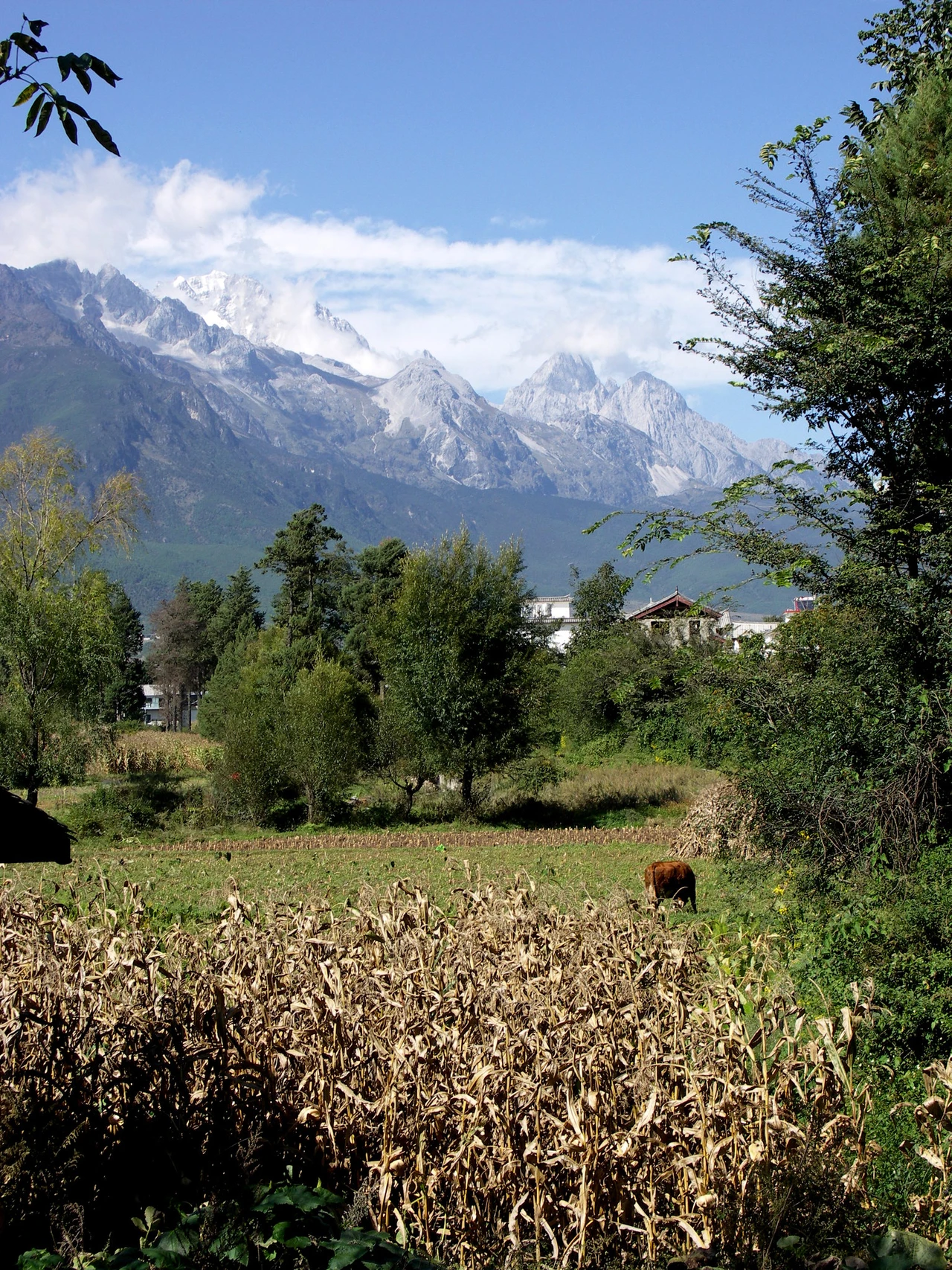 Baisha village · 白沙古镇