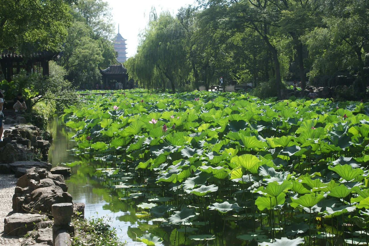 Humble Administrator's Garden · 拙政园