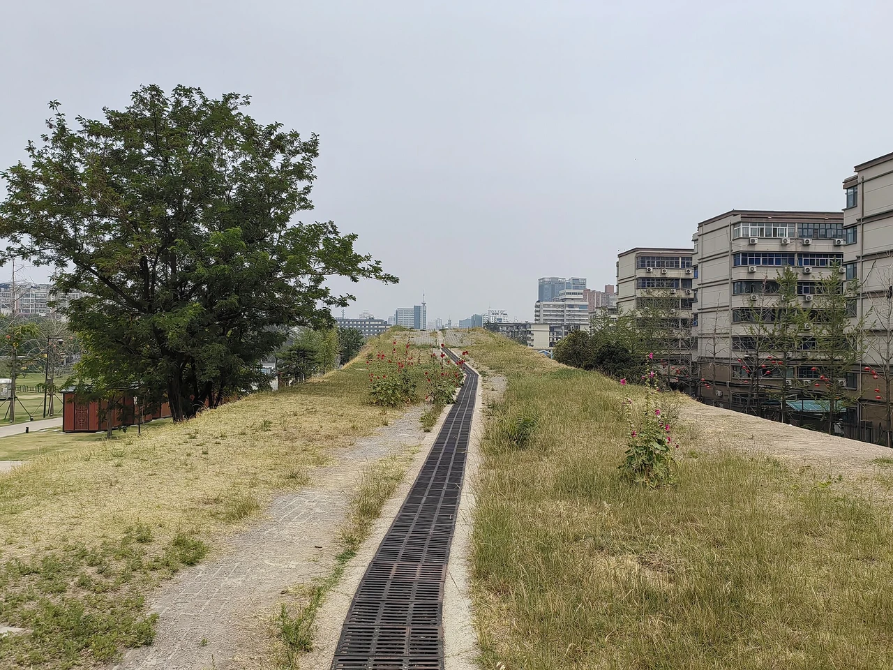Shang City walls Β· ιε·εε