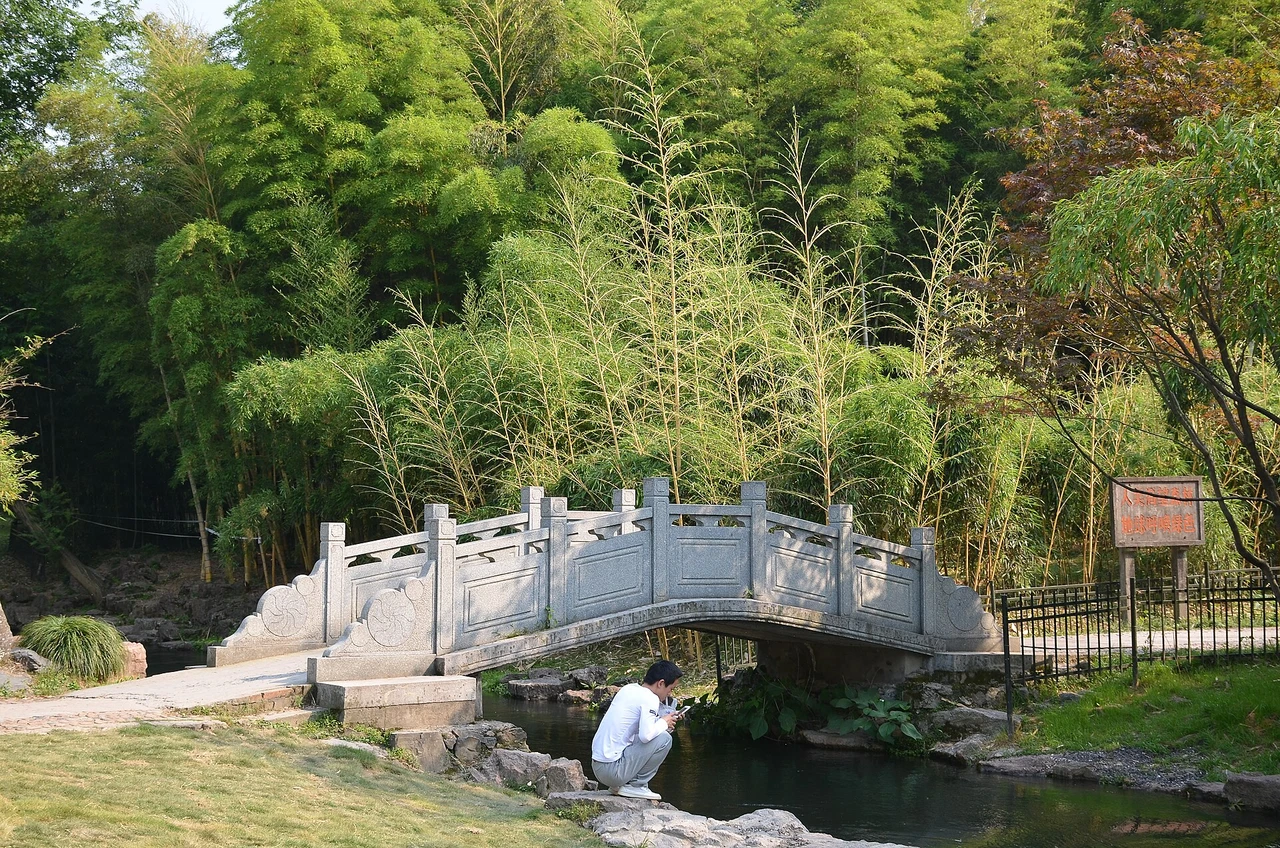 Xixi Wetland · 西溪湿地
