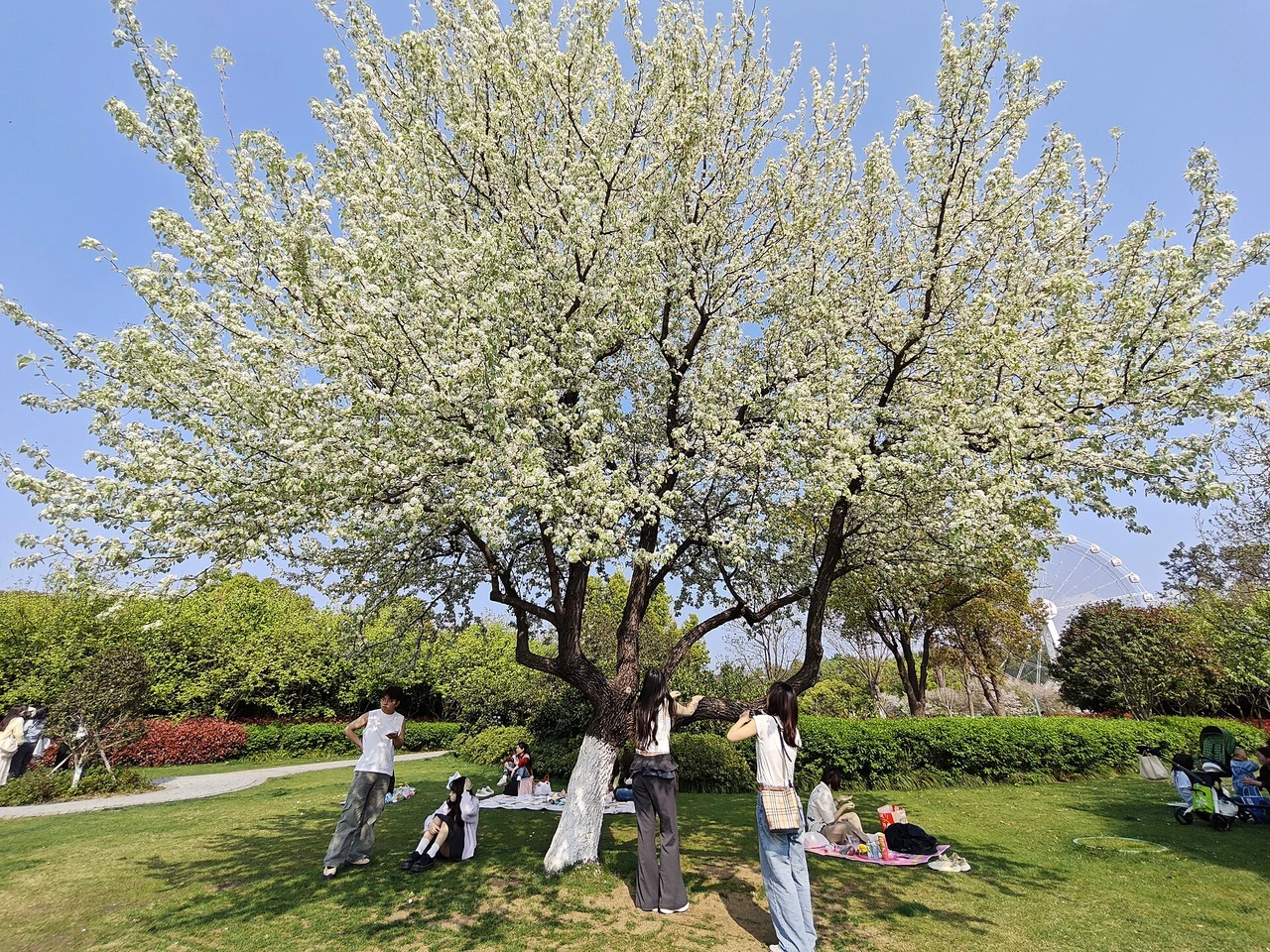 East Lake Greenway · 东湖绿道