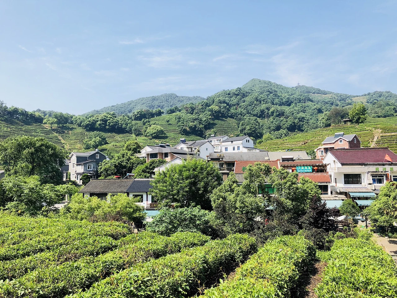 Longjing tea village · 龙井村