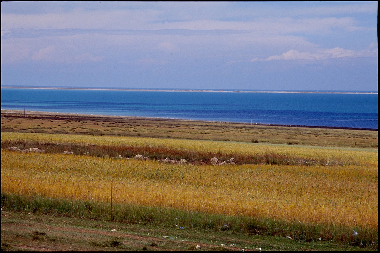 Qinghai Lake · 青海湖